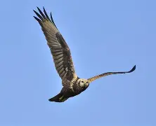 开云体育入口-蛺ok觶